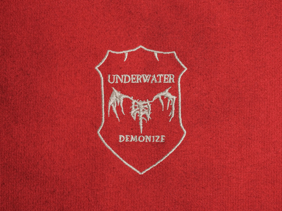 UNDERWATER Skeleton Distressed Contrast Panel Hooded Jacket – photo 10 of 13
